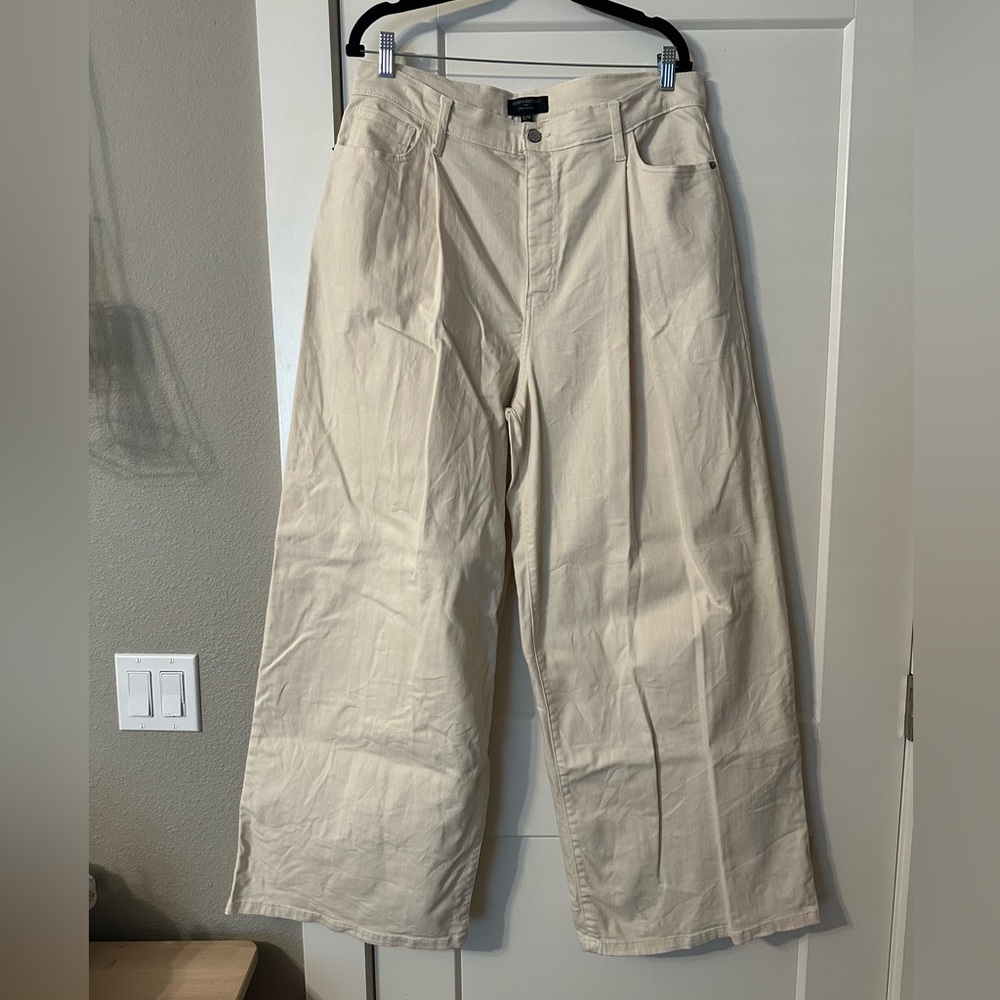 Banana Republic Pleated Wide Leg High Rise Denim